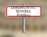 Diagnostic Termite ASE à Pontivy